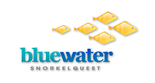 Bluewater Snorkelquest Logo Design