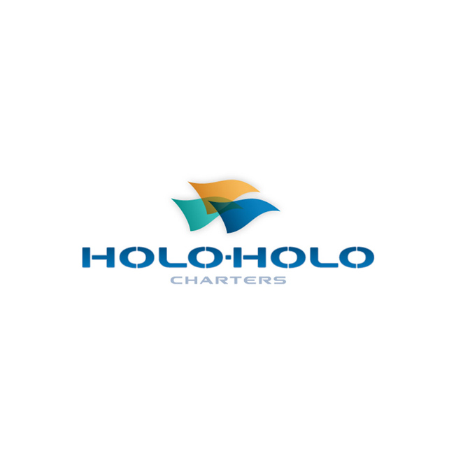 Holo Holo Logo Design