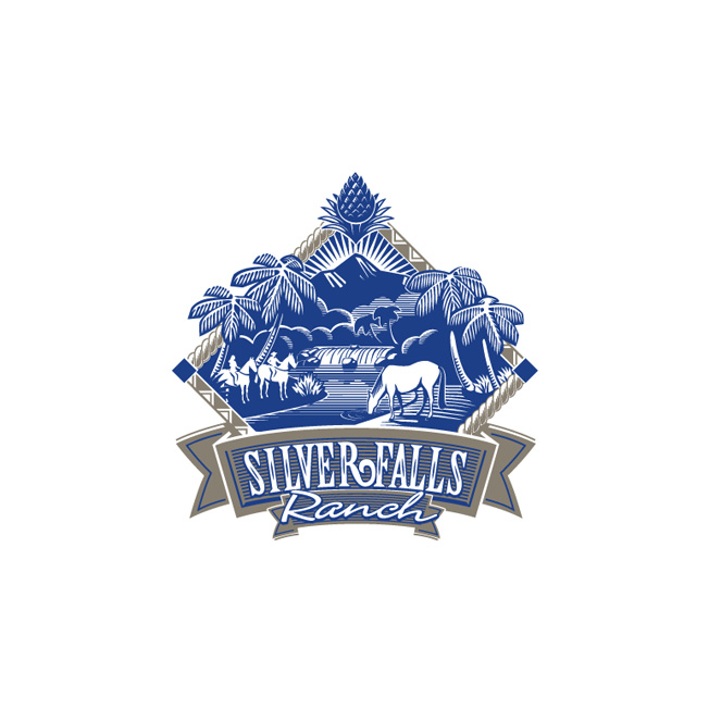 Silver Falls Logo Design