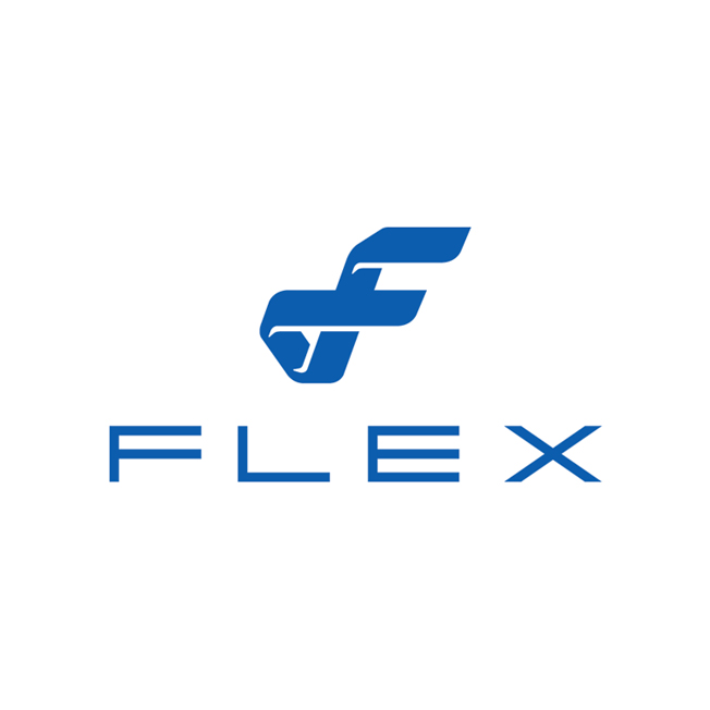 Flex Auto Logo Concept