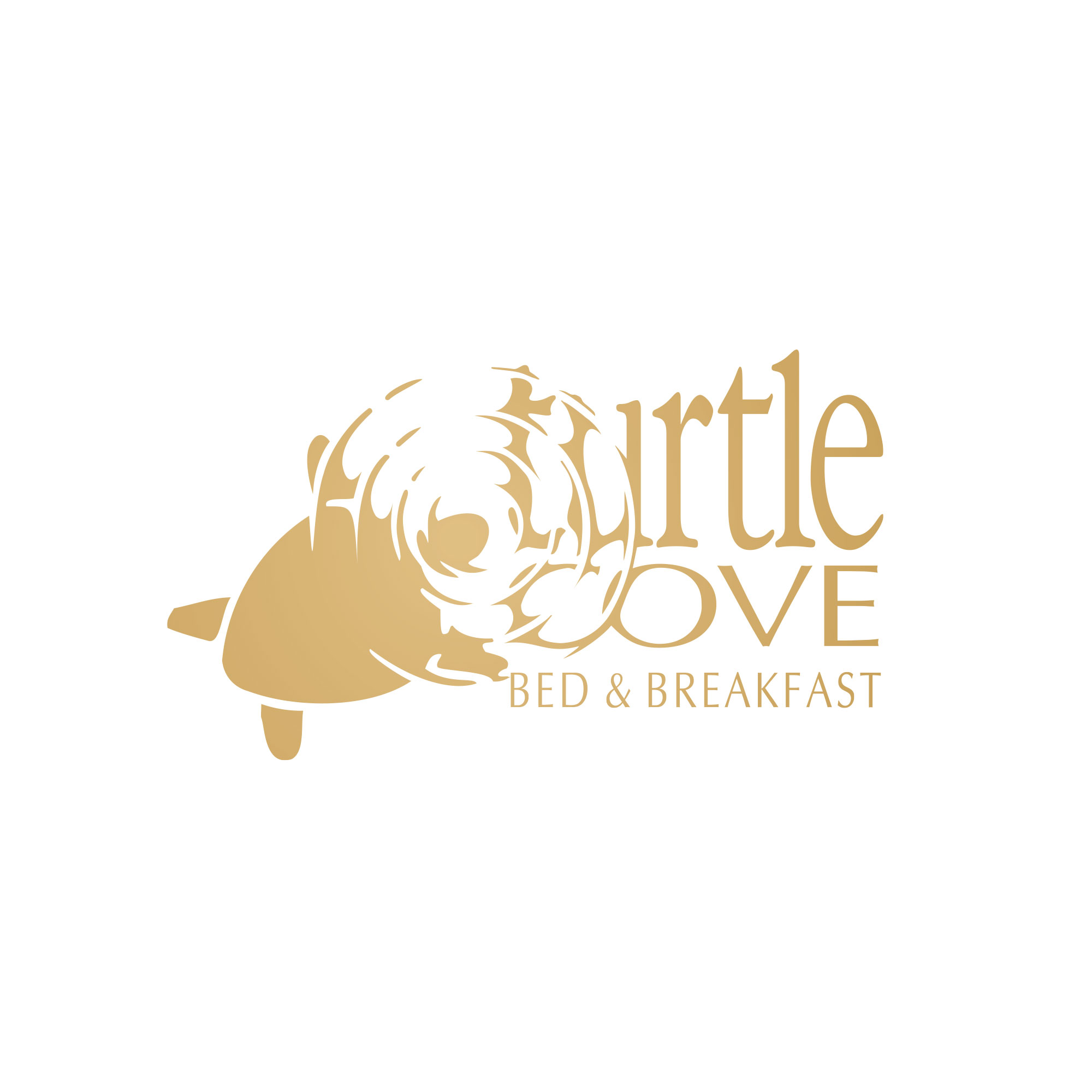 Turtle Cove Logo Design